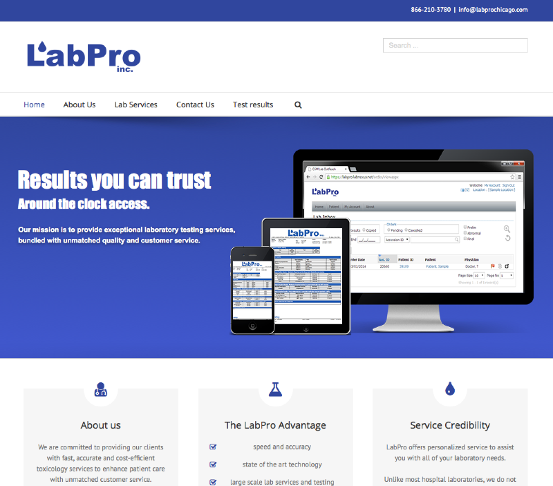 Lab Pro - Purple Panda - Web Design - North Lincolnshire